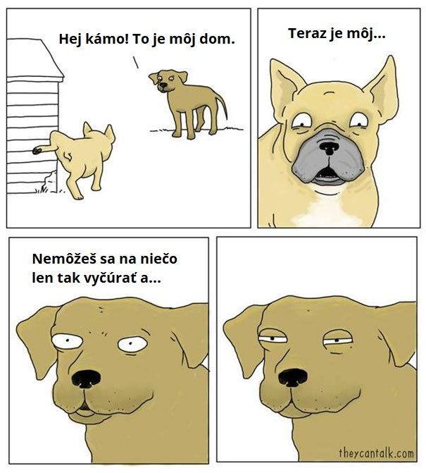 8PAMXO1