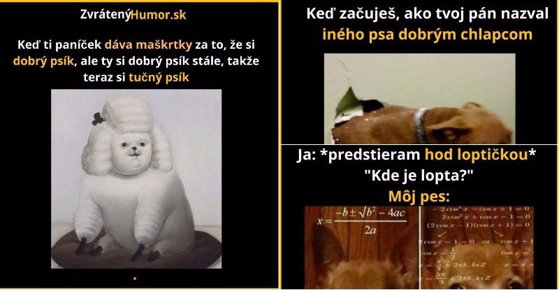 15 komických obrázkov, ktorým porozumieš len ty a tvoj pes