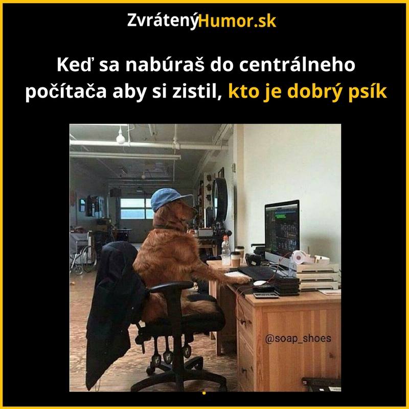 psickari15