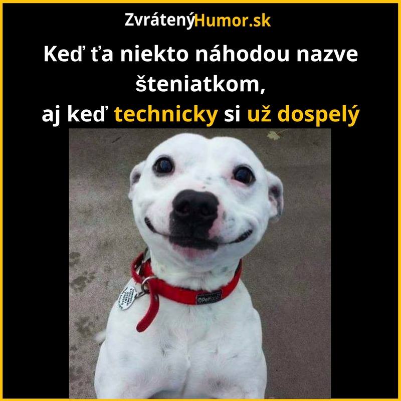 psickari2