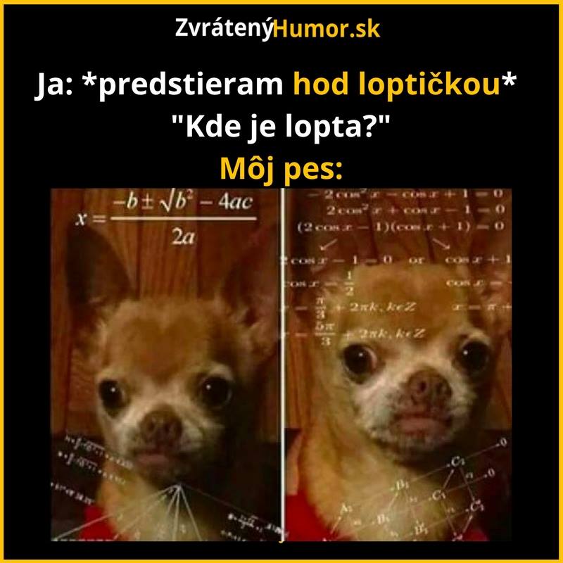 psickari5