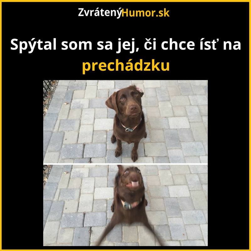 psickari6