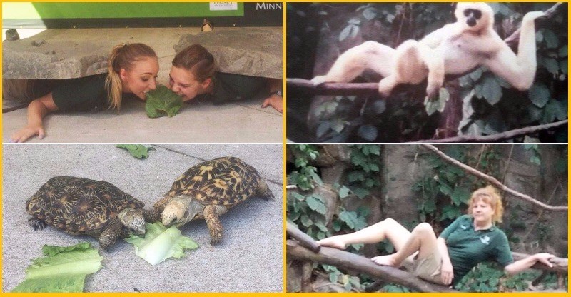 10+ Obrázkov: Keď majú ošetrovatelia v ZOO až príliš veľa voľného času