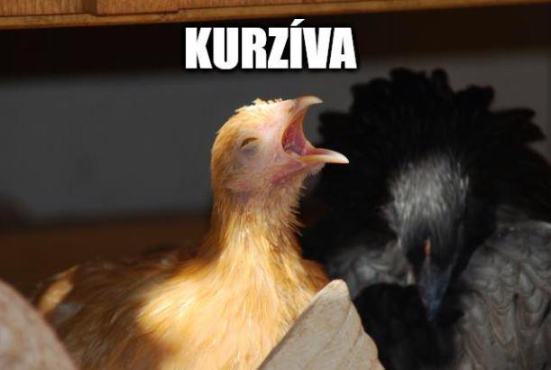 kurziva