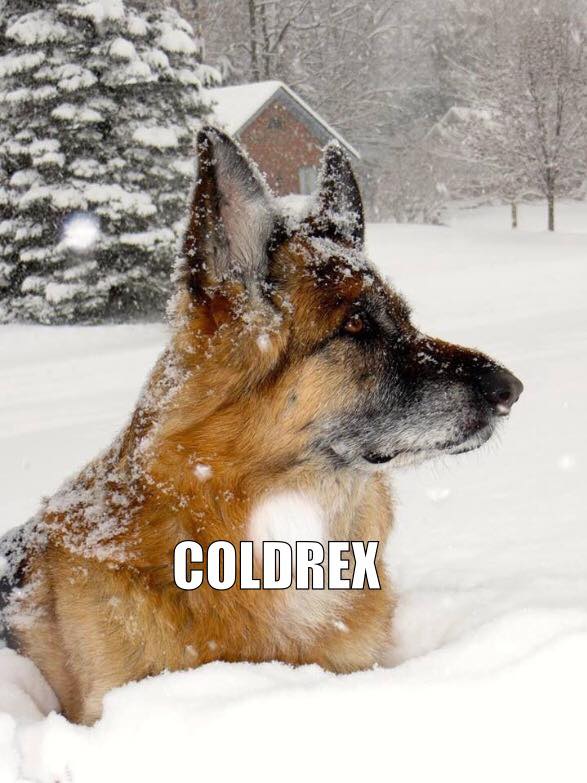 coldrex