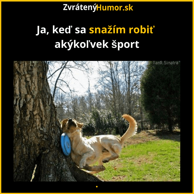 ja sportujem