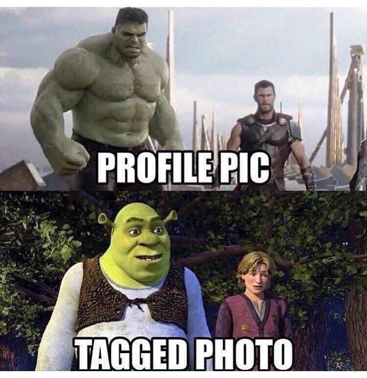 85468004