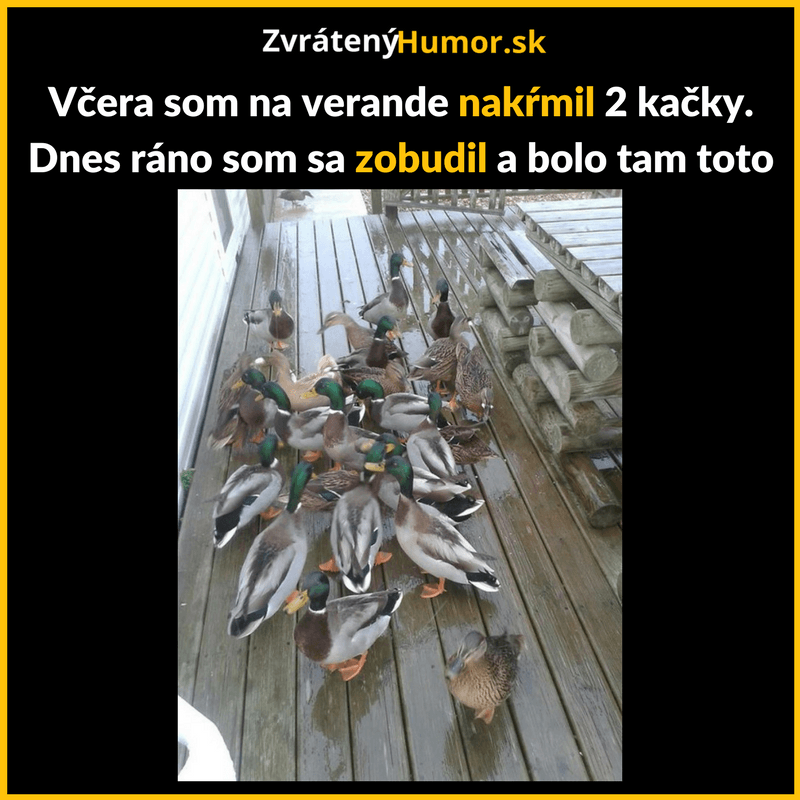 Kopia Adam kvoli LAto heavyr (5)