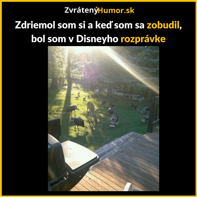 Kopia Adam kvoli LAto heavyr