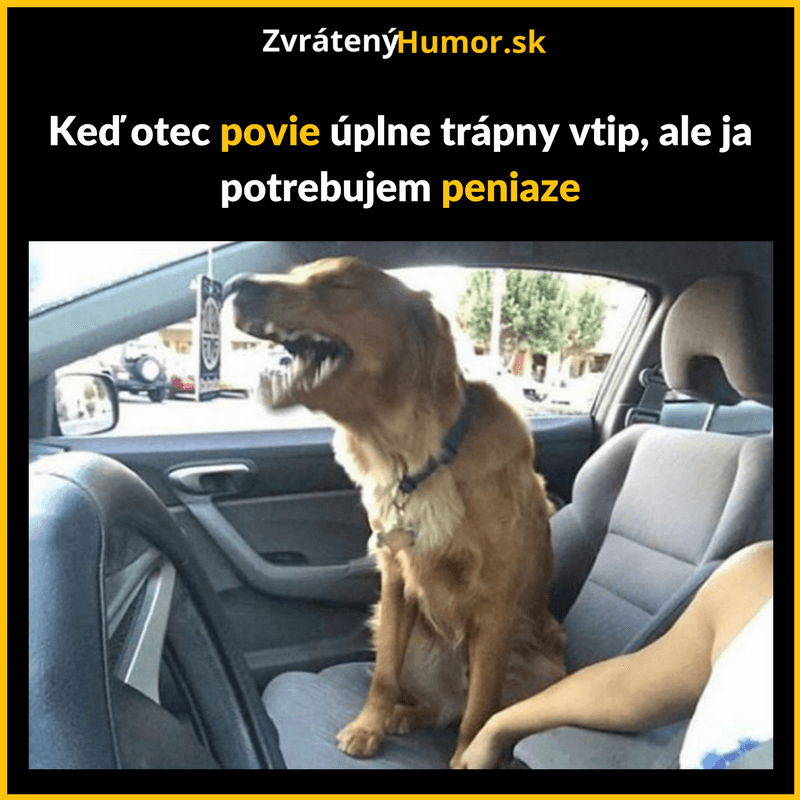 Ty si ale vtipný
