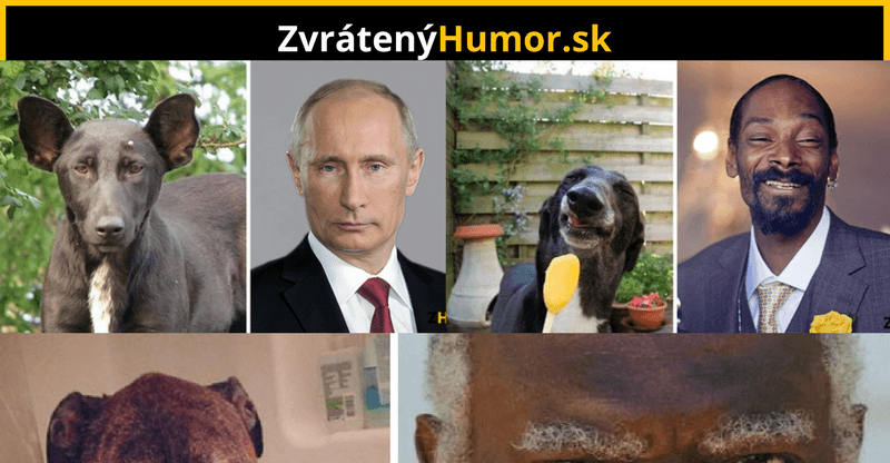 10 psov, ktorí vyzerajú ako slávne osobnosti