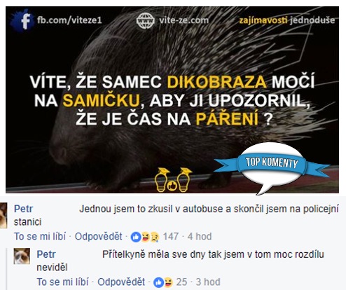 koment2478
