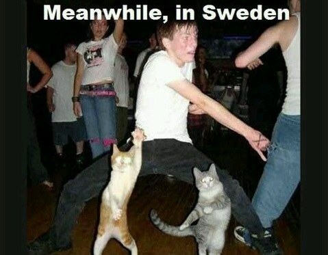 meanwhile13