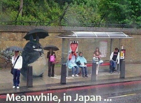meanwhile9