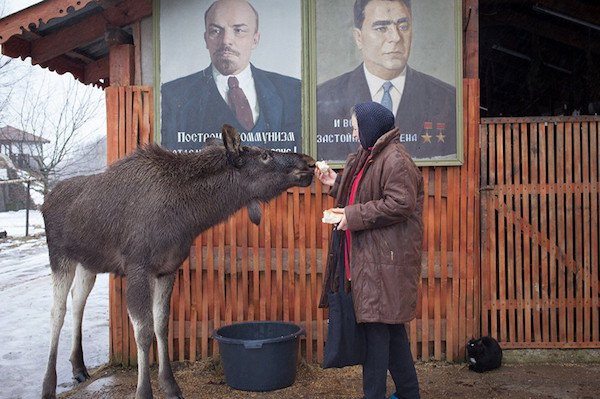 pozdrav z ruska22