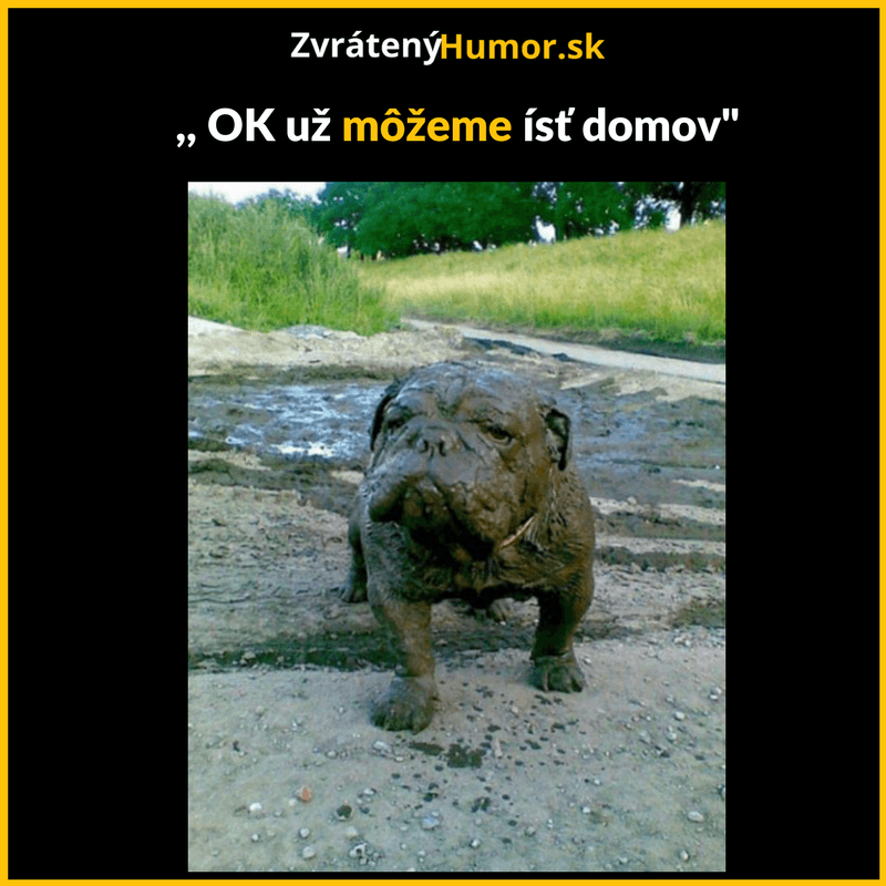 poďme domov