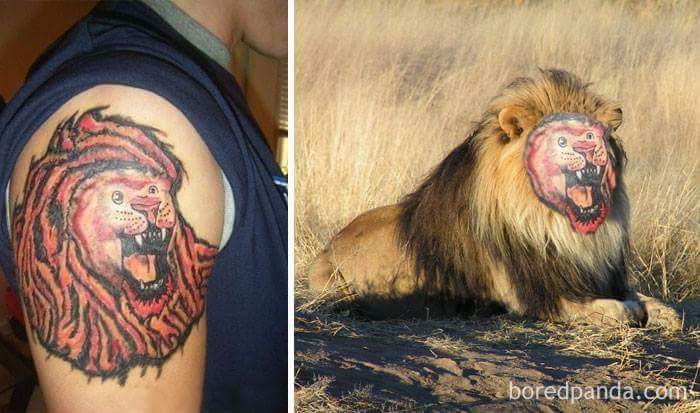 zle tattoos4