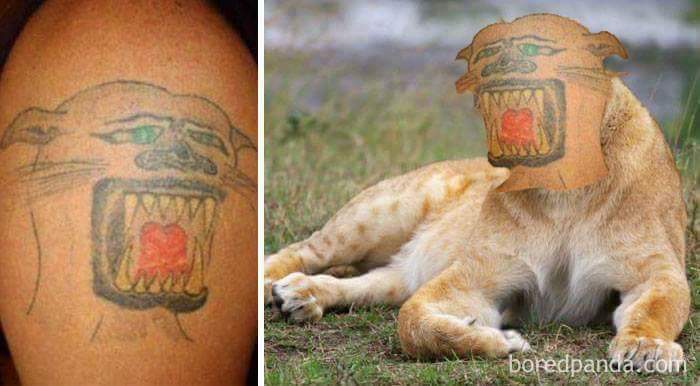 zle tattoos5
