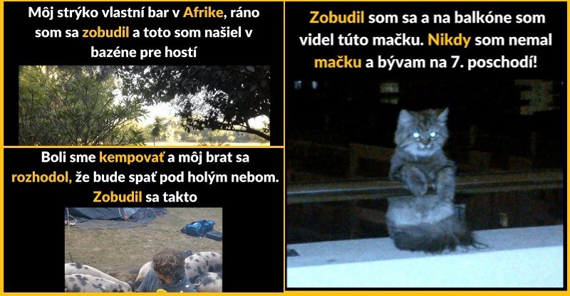 10+ Obrázkov: Tie najvtipnejšie zážitky hneď po prebudení. Máš aj ty ten svoj?