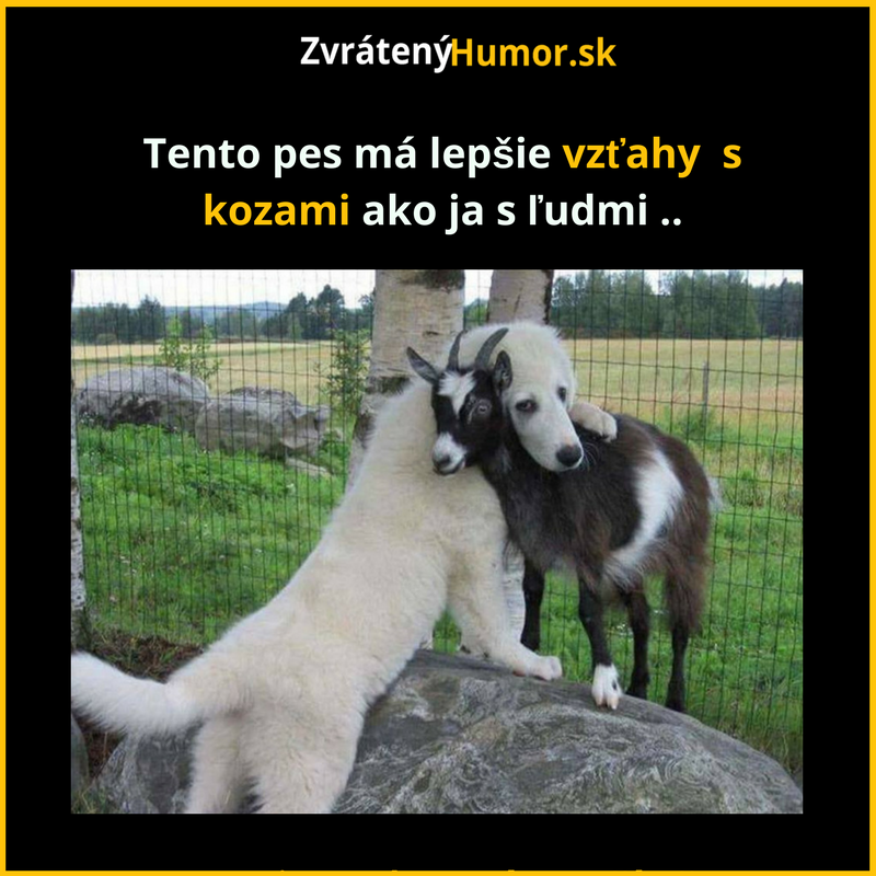 Ja a vzťahy s ľudmi