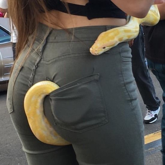 85478605