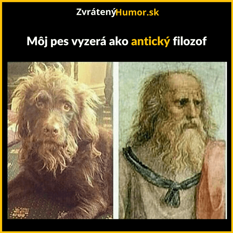 Hotový filozof