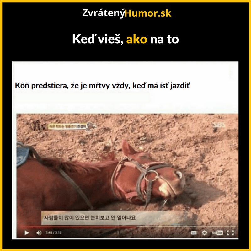 Obrazok funny (10)