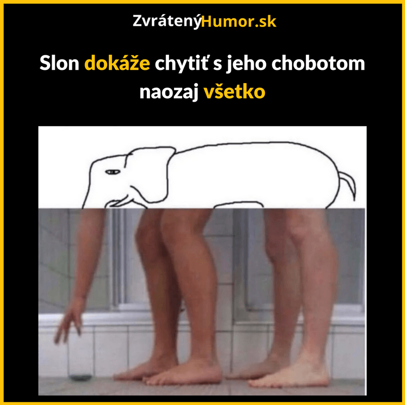 Obrazok funny (12)
