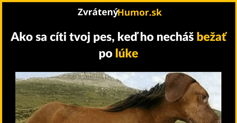 Som voľný