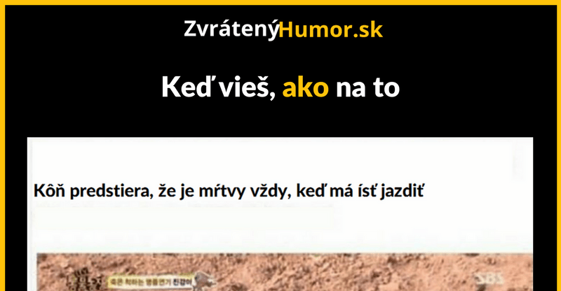 Asi som sa reinkarnaoval