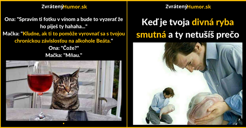Zopár memečiek, ktoré vznikli aby ti spríjemnili dnešný deň #93