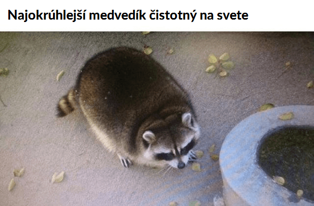 sdfc