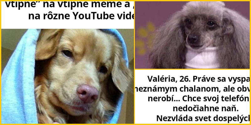 10 Obrázkov: Psie charaktery, ktoré ti určite pripomenú niekoho, koho poznáš – Part 2