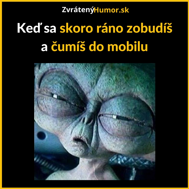 Moje každé ráno