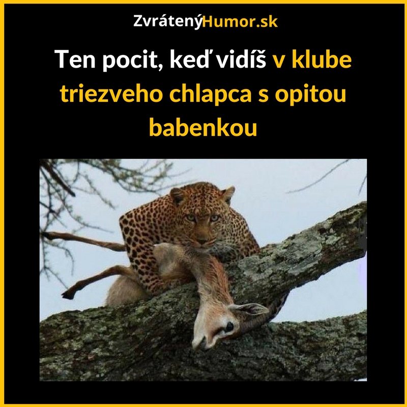 Inštinkt lovca