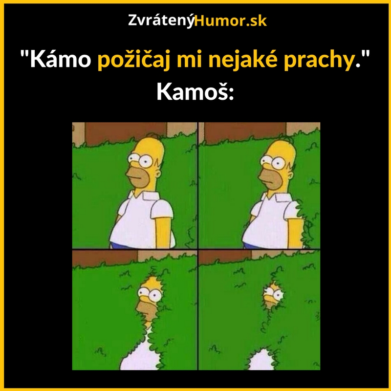 Kámo, nemáš mi požičať?