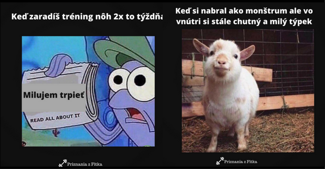 #FitMemes, ktoré pochopia všetci poctiví makači alebo ľudia, ktorí boli aspon raz v posilke #1