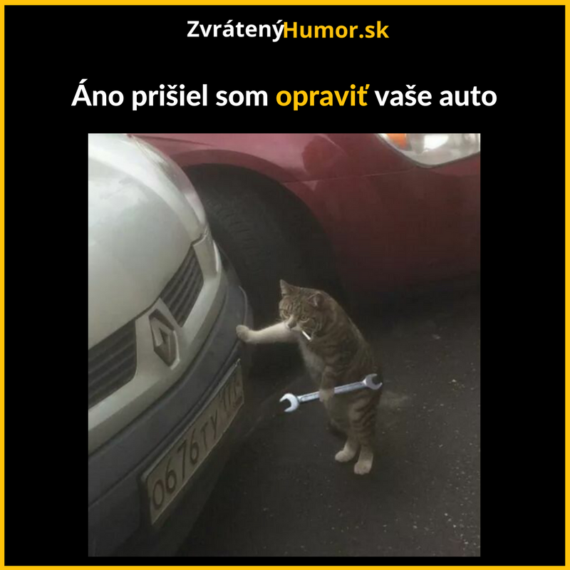 Všetko opravím