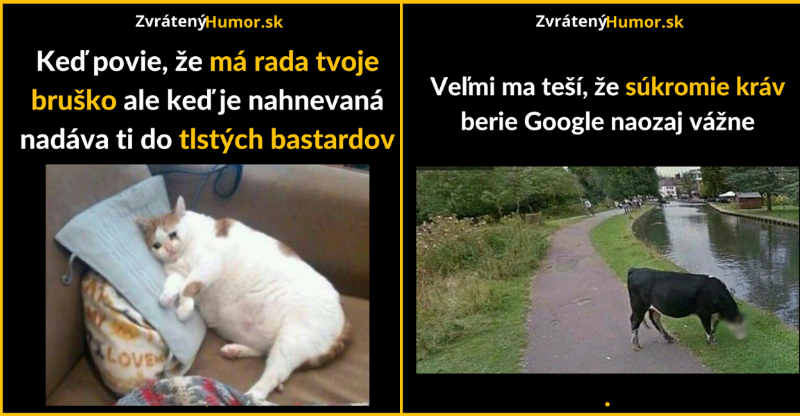 Zopár memečiek, ktoré vznikli aby ti spríjemnili dnešný deň #110