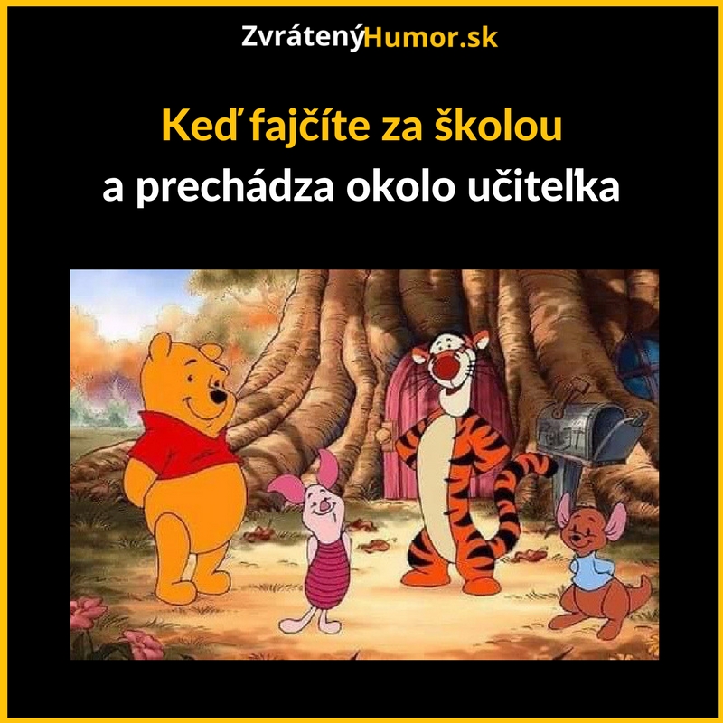 My nič, my muzikanti…