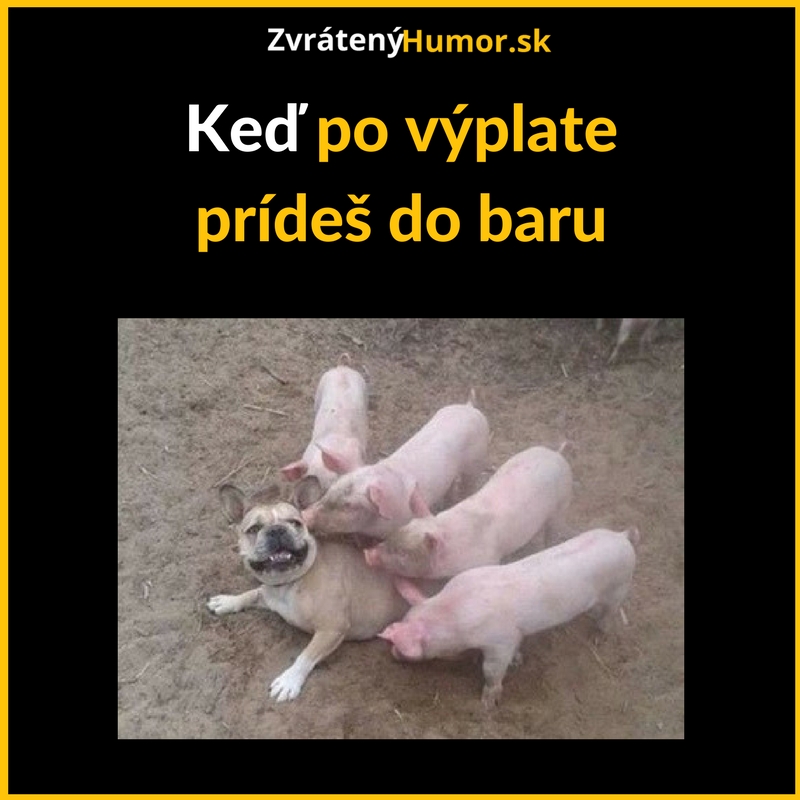 Po výplate v bare