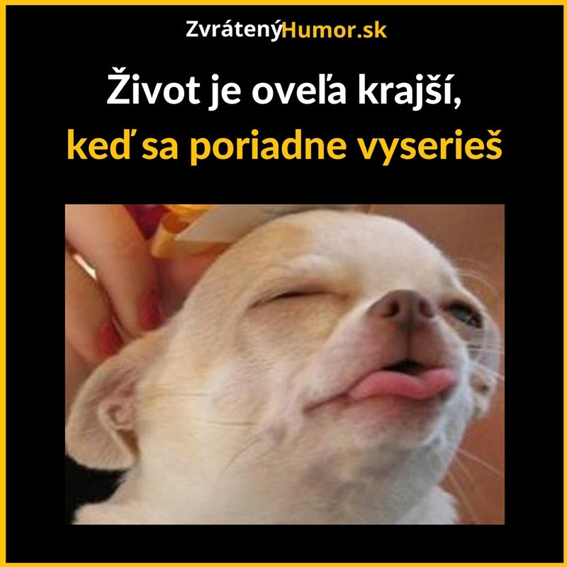 Niet nad ten pocit!
