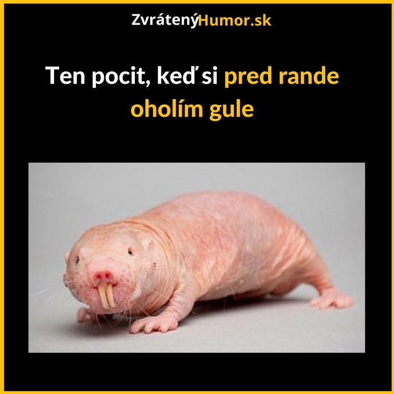 Preventívna údržba pred rande