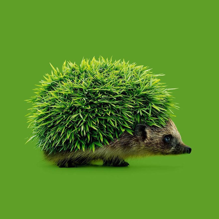 This-artist-confuses-our-minds-with-their-surreal-images-5a2e3bec07e5d__880