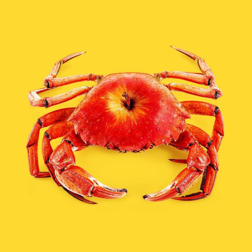 This-artist-confuses-our-minds-with-their-surreal-images-5a2e3bef1bcee__880