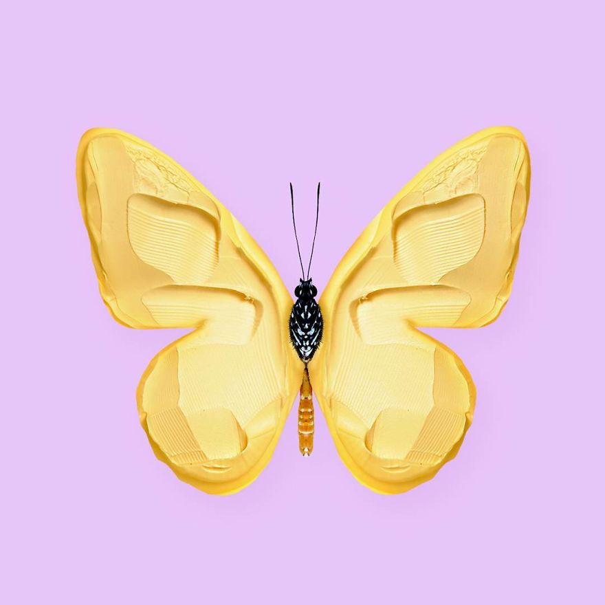 This-artist-confuses-our-minds-with-their-surreal-images-5a2e3c8fdafdd__880