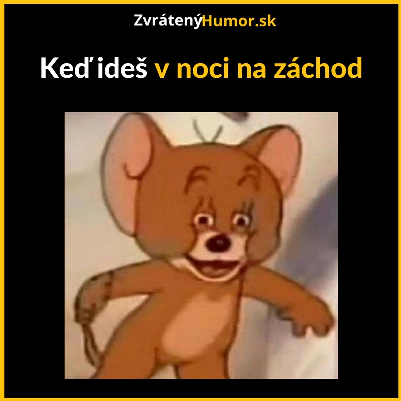 V noci na záchod