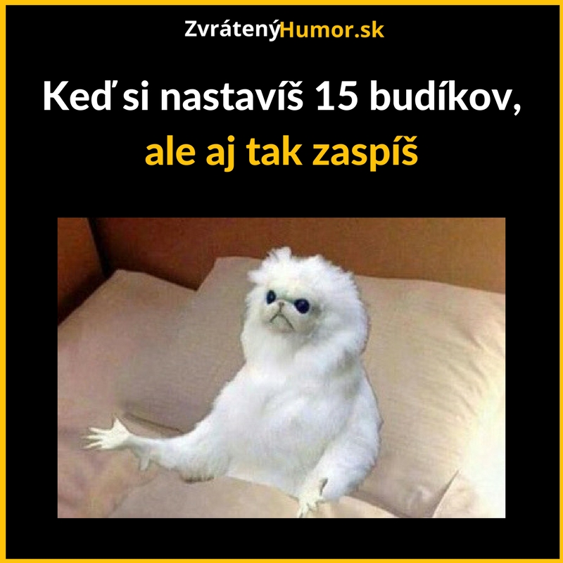 Zaspal som