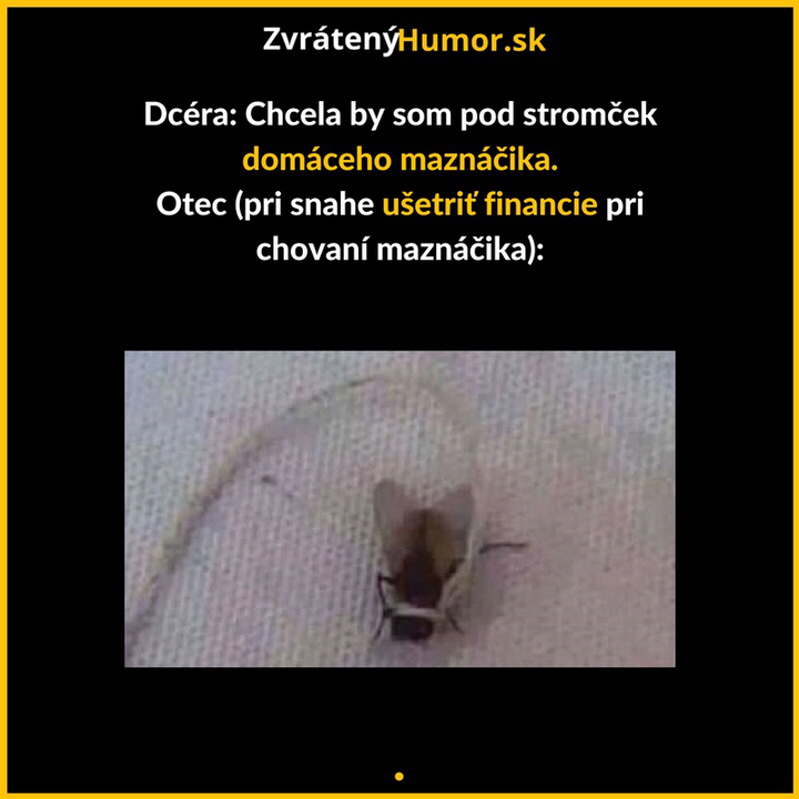 image_uploaded_from_ios_720 (1)