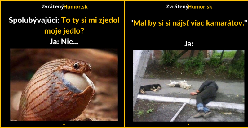 Zopár memečiek, ktoré vznikli aby ti spríjemnili dnešný deň #120